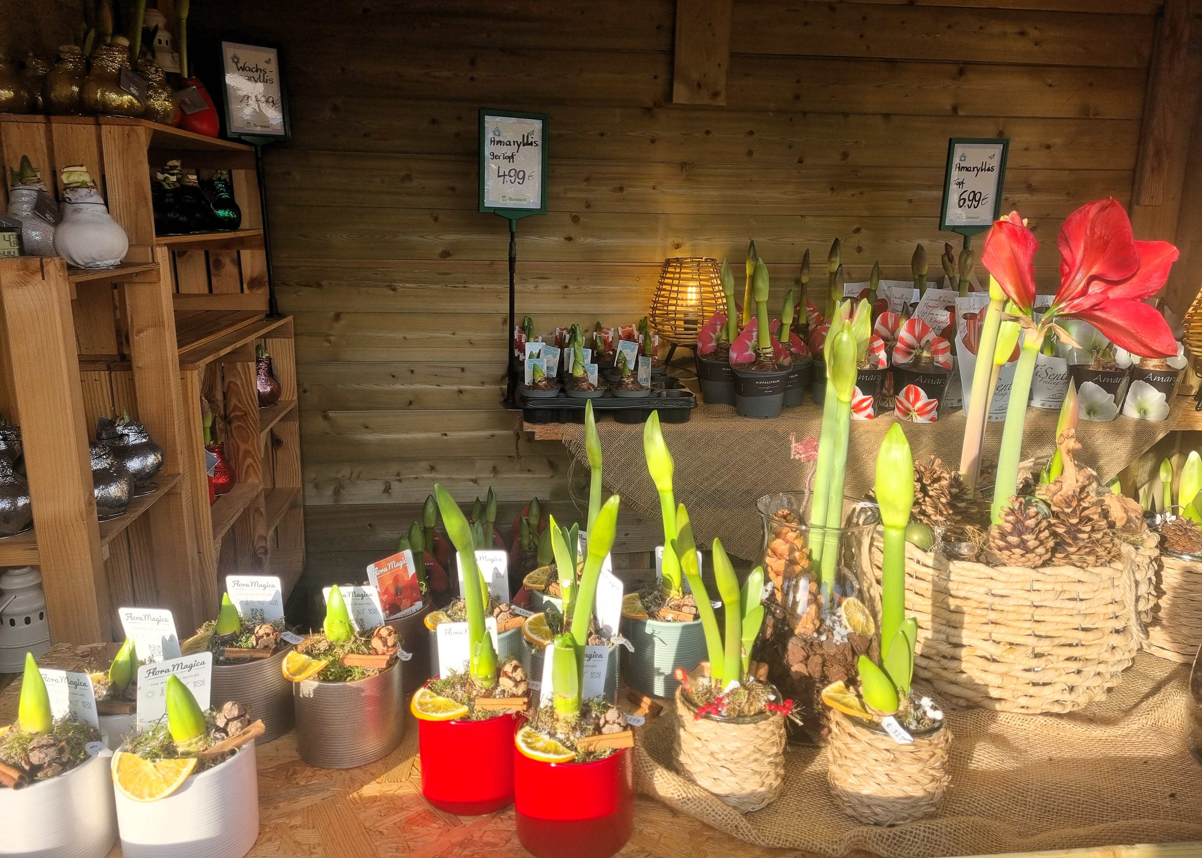 Monheimer Blumenmarkt